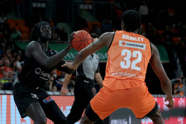 的多项荣誉 的多项荣誉